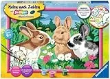 Ravensburger CreArt 28517 - Putzige Häschen - Malen nach Zahlen Kaninchen für Kinder ab 9 Jahre, Malset mit Rahmen, Pinsel und Acrylfarben, Ostergeschenke Kinder