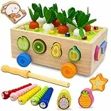 RunHero Montessori Holz Sortierspie Karotten Steckspiel Holzspielzeug ab 1 Jahr Holztiere Motorikspielzeug für Baby Bauernhof Steckspiel Lernspielzeug Geschenke für Kinder