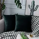 UPOPO 2er Set Samt Kissenbezug Dekorative Einfarbig Kissen Weich Kissenhülle Kissenbezüge Dekokissen Zierkissen Sofakissen für Couch Schlafzimmer Wohnzimmer mit Reißverschlüsse 45 X 45cm Dunkelgrün