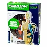 Thames & Kosmos, 260830, Human Body Anatomy Model, 37 Parts with Stand and Guide Book, Build Your Own Human Body, Nature Discovery Range, Ages 8+