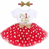 FYMNSI Kleinkinder Baby Mädchen Mein 1. Geburtstag Kleid Kurzarm Tutu Tüll Gepunktet Rock mit Pailletten Schleife Stirnband 2tlg Bekleidungsset Prinzessin Partykleid Fotoshooting Rot
