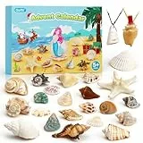 Adventskalender 2025 Kinder, 24 Tage Weihnachts-Adventskalender Countdown, Muscheln Adventskalenders Weihnachtsgeschenke für 6 7 8 9 10, 12 Jahre Jungen Mädchen
