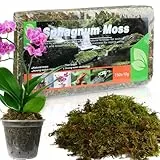 GOTVUGE Sphagnum Moos für Pflanzen (5L) - Vielseitige Blumenerde für Orchideen, fleischfressende Pflanzen, Sukkulenten, Gartenblumen und Reptilien.
