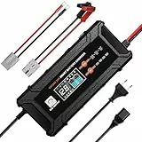 ECO-WORTHY 12V/24V 20A LiFePO4 Batterieladegerät mit Multi-Current Optionen 5A/10A/15A/20A,automatische LiFePO4 Blei-Säure Batterie Spannungserkennung für Auto LKW Motorrad Rasenmäher