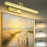 Lampop Bildbeleuchtung für Wand drahtlose LED Wandbeleuchtung Wiederaufladbare 5000mAh Batterie Wandlampen mit Fernbedienung mit 3 Farbtemperaturen und einstellbarer Helligkeit Gold 40 cm