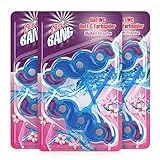 Cillit Bang WC Steine Toilette – WC-Reiniger und Duftspüler gegen Schmutz und Kalk – Blüten Frische – 3 x 2er Pack