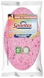 Spontex Tuchschwamm ColorMix, - Extra saugstark & reißfest -3 Stück ( 1er Pack)