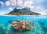 Ravensburger Puzzle 12001798 - Insel und Korallenwelt - wunderschönes 500 Teile Foto-Puzzle für Erwachsene und Kinder ab 12 Jahren