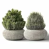 YVONNEYI 2 Stück Kunstpflanze Klein im Beton-Töpfen, 15,6/14,5 cm Künstliche Pflanzen wie echt, Fake Plant für Home Wohnzimmer Badezimmer Schlafzimmer Küche Tisch Büro Zimmer Deko