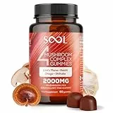 SOOL 4-Pilz-Komplex Gummibärchen 2000 mg, 60 Stück, Natürlicher Geschmack: Chaga, Reishi, Shiitake, Löwenmähne Ergänzungsmittel | Hochdosierte Nootropische Gummis | Gedächtnis & Konzentration