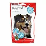Beaphar Atem-Frisch, 1er Pack (1 x 100 g)