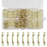 Kissral Bildaufhänger 100 Stück Zackenaufhänger Schrauben Sägezahn Bilderrahmen Aufhänger Doppel-Loch mit Schrauben für Bilderrahmen