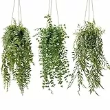 YVONNEYI 3 Stück 50.8/50/48.7 cm Hängepflanze Künstlich im Schwarz Topf, Künstliche Hängepflanzen für Deko Wohnzimmer, Hängepflanze Künstlich für Wand Büro Zimmer Regal Indoor Outdoor Deko