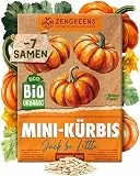 ZenGreens® - Bio Mini-Kürbis Samen (Jack be Little) - Mini-Kürbissamen - Gemüsesamen für den einfachen Anbau im Garten, Balkon oder Hochbeet - Gemüse Saatgut