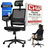 VALKENSTOL M2 Bürostuhl Ergonomisch Testsieger, Einstellbarer für maximale Bewegungsfreiheit, Rückenfreundliche Bürostühle, Lendenwirbelstütze Schreibtischstuhl für Büro und Home Office Chair