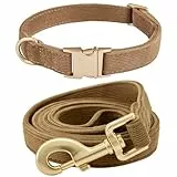 YUDOTE Hundehalsband und Leine Set Groß, Weiche Reizfreie Cord-Halsband-Leine Passende Combo für Den Täglichen Spaziergang, Braun