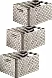 Rotho Country 3er-Set Aufbewahrungskiste 18l in Rattan-Optik, Kunststoff, beige