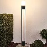 Kingwen 10W LED Wegeleuchte Außen 3000K LED Pollerleuchten Außen 100CM Gartenleuchten IP65 Wegeleuchten LED Wegbeleuchtung (Schwarz)