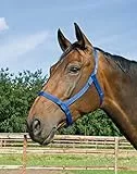 BUSSE Halfter WEIDE, schwarz, Warmblut