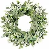 COLORSPEC Eukalyptus-Kranz für die Haustür, 50 cm/20 Zoll grüner Frühlings-Sommer-Kranz, lebensechte künstliche kleine Türkranz-Dekoration für Bauernhaus