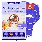 Wolkenfeld Schlupfwespen gegen Lebensmittelmotten – 24 Karten (6 Karte à 4 Lieferungen) – Effektive & Chemiefreie Mottenbekämpfung – Natürliche Alternative zu Mottenfallen, Sprays & Pheromonfallen