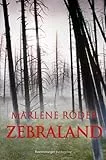 Zebraland: Ausgezeichnet mit dem Evangelischen Buchpreis, Kategorie Jugendbuch 2010 (Jugendliteratur ab 12 Jahre)