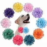POSAPET Hundehalsband, Blumen, Mädchen, Jungen, mit Schleifen, Anhänger für kleine, mittelgroße und große Hunde, Katzen, Welpen, Halsband, Verzierungen, Pflegezubehör, Chiffon, Kein Edelstein