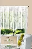 Gardine Store Jacquard Fabio HxB 120x300 cm Kräuselband Universalband Weiß Kreismuster Transparent Voile Vorhang Wohnzimmer, 13143
