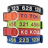 Hundehalsband Große Kleine Mittelgroße Hunde Halsbänder Personalisiert mit Namen Reflektierendes Gepolstertes Nylon, 4 Einstellbare Größen, 11 Farben