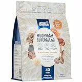 Applied Nutrition Vitalpilze Mix - Mushroom Complex mit Reishi, Chaga, Shiitake, Maitake, Tremella, Cordyceps Sinensis, Königstrompete und Löwenmähne Pilz - Vegan & Glutenfrei (160 g - 40 Portionen)