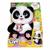 Little Live Pets My Baby Panda ChuChu | Interaktives Haustier mit über 50 Geräuschen & Reaktionen. Strampelt, geht aufs Töpfchen, lacht & mehr. Immer Wieder Spielen. Geschenk für Kinder