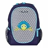 Kindergartenrucks.Rookie Turtle