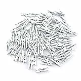 100 kleine süße mini Zierklammern Dekoklammern Klammern Holz Wäscheklammern Miniklammern Holzklammern Natur Weiss 2,5cm (SD-DK-100-White)