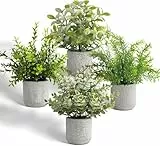 YVONNEYI 4 Stück Kunstpflanze Klein, Kunstpflanze Eukalyptus im Beton-Töpfen, Künstliche Pflanzen für Home Wohnzimmer Badezimmer Schlafzimmer Küche Tisch Büro Zimmer Deko