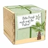 Feel Green - WE CREATE NATURE ecobox, Bitte bringt Mich auf die Palme, Pflanzen Aus Der Holzbox 11x11x10cm, Made in Austria, Nachhaltige Geschenkidee, Grow Your Own/Anzuchtset