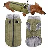 JoyDaog Warmer Fleece-Hundemantel mit strapazierfähigem Geschirr mit D-Ring, wasserdichte Welpenjacke für kleine Hunde, Hundeweste für den kalten Winter, Grün, Größe S