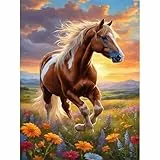 Pujeknm Malen Nach Zahlen Erwachsene Pferd-DIY Tiere Handgemalt Ölgemälde Kit für Anfänger, Mit 3-Pinseln und Acrylfarbe Handgemalt öLgemäLde Kit Als Geschenk 30x40cm (Rahmenlos)