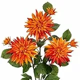 Hollyone 3PCS Orange künstliche Dahlie Blumen, 75cm gefälschte große Seidenblumen mit langem Stiel für Florale Arrangements, Faux Dahlien Blumen für DIY Hochzeit Party Mittelstücke Haus Büro Deko