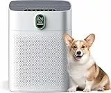 MORENTO Luftreiniger Allergiker mit HEPA Luftfilter gegen von Staub Pollen und Tierhaaren entfernen, CADR 300m³/h für 100㎡ Raucherzimmer,PM2.5 LED-Anzeige Air Purifier 24dB 1 Pack 2 Ersatzfilter