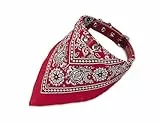 Nobby Halsband mit Tuch, rot L: 45 cm, 1 Stück