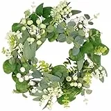 COLORSPEC Eukalyptus-Kranz für die Haustür, 33 cm/13 Zoll grüner Frühlings-Sommer-Kranz, lebensechte künstliche kleine Türkranz-Dekoration für Bauernhaus