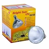 Lucky Reptile Bright Sun UV Desert, Wattstärke:50 Watt