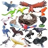 SIENON 23 Stück Vogelfiguren Set, realistisches Vogelspielzeug Wildlife mit Nest, Rabe, Kiwi-Vogel, Strauß, Ara, Goldener Adler Spielfigur für Kinder pädagogische Geburtstagstorte Topper Gartenzubehör