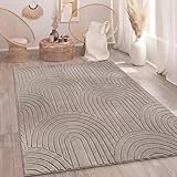Paco Home Teppich Wohnzimmer Schlafzimmer Hochflor Weich Uni 3D-Optik Pflegeleicht Modernes Design Waschbar Taupe, Grösse:120x160 cm