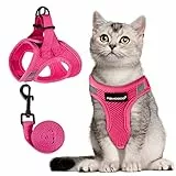 FAYOGOO Katzengeschirr mit Leine ausbruchsicher für große Katzen Kitten Brustgeschirr verstellbar weiches gepolstert Softgeschirr Klett Katzenleine Laufgeschirr Set