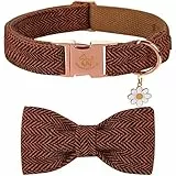 Elegant Little Tail Halloween Hundehalsband Mit Schleife - Herringbone Orange Langlebiges Fliege-Halsband für X-Small Hunde