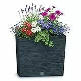 Prosperplast Blumenkasten mit Einsatz | aus robustem Kunststoff | Anthrazit | wetterfest und UV-beständig | 58 x 18 x 49,8 cm | ideal für Garten, Terrasse und Balkon