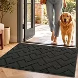 Biscpro Fußmatte Dunkelgrau 50x80cm Innen und Außen, Waschbar Fussmatt, Wasserdicht Türmatte, Rutschfester Schmutzfänger Teppich für Eingang, Haustür, Patio, Flur, Garten