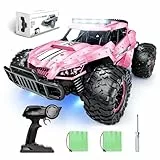 Tecnock Ferngesteuertes Auto 1:16 mit Scheinwerfer und Fahrgestellbeleuchtung, All Terrain Off Road RC Monstertruck 2,4GHz Spielzeug, 2 Akku für 60 Min. Laufzeit - Geschenk für Erwachsene Kinder
