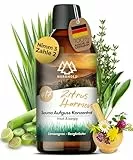 NORDHOLZ® Saunaaufguss [54 Sorten 15ml, 100ml, 250ml] - Sauna Aufgussmittel für intensive & erholsame - Sauna Zubehör (#17 Zitrus Harmonie, 100ml)